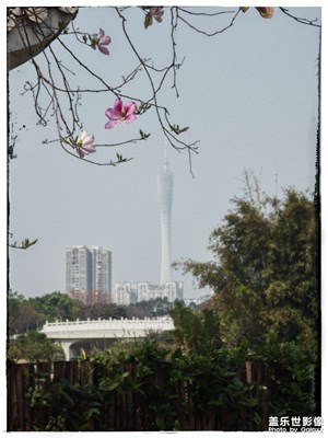 細(xì)節(jié)不夠?yàn)V鏡來湊!復(fù)古風(fēng)格照片分享