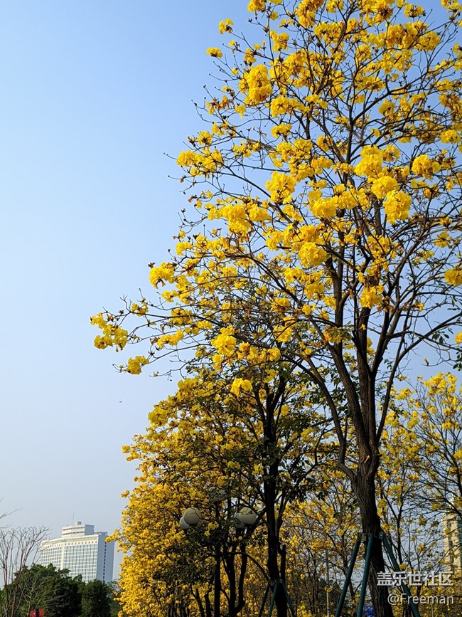 【采集青色時(shí)光】看花 | 養(yǎng)眼