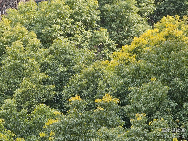 【三星S23系列曬單】