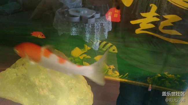 【采集青色時(shí)光】生機(jī)盎然的春天