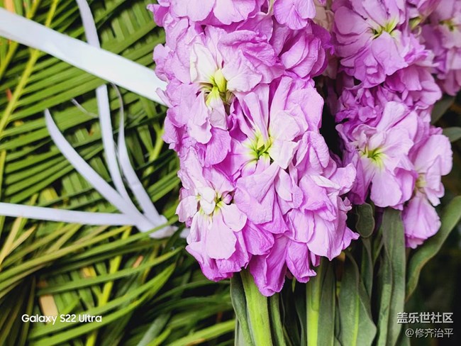 【采集青色時光】青色充滿勃勃生機