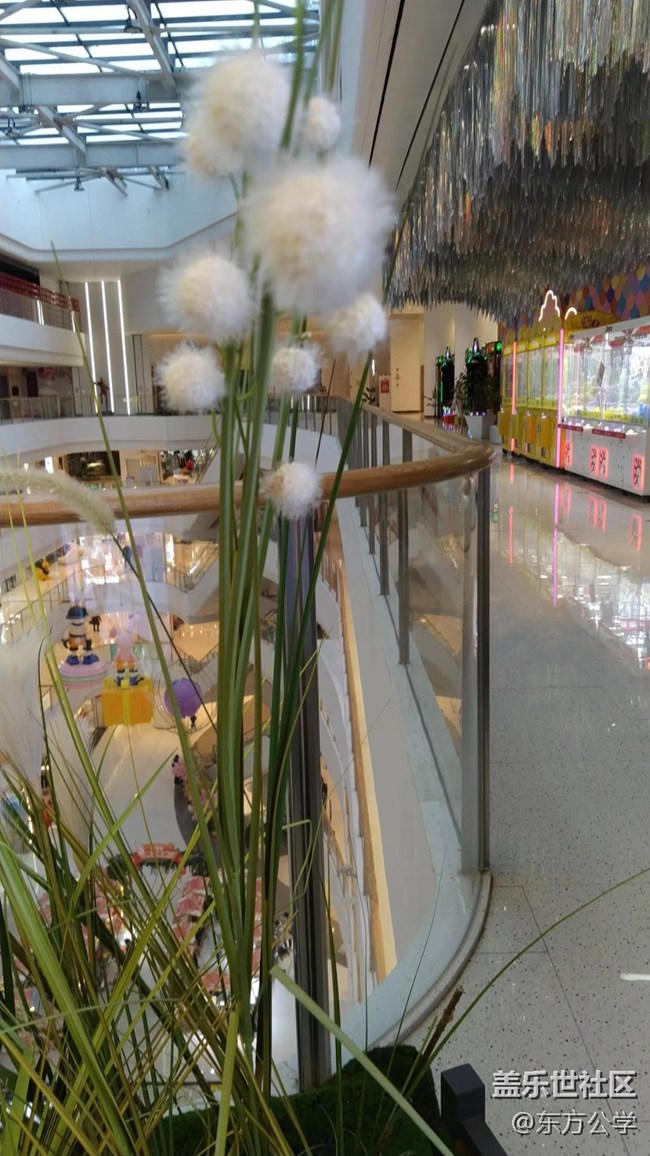 【采集青色時(shí)光】空中花園