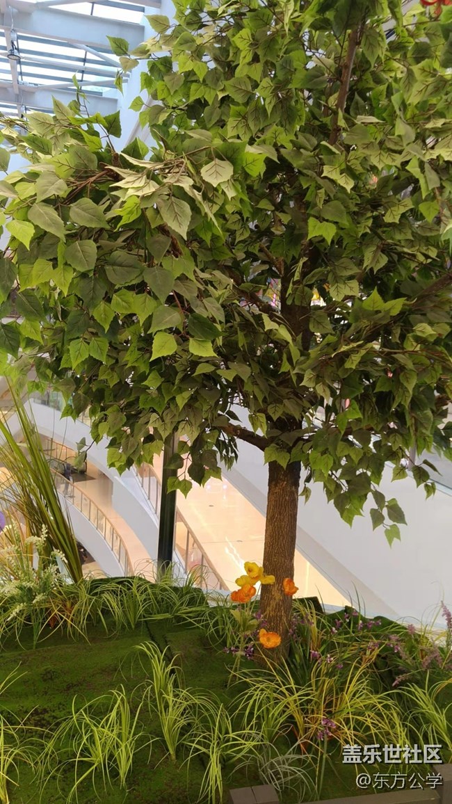 【采集青色時(shí)光】空中花園