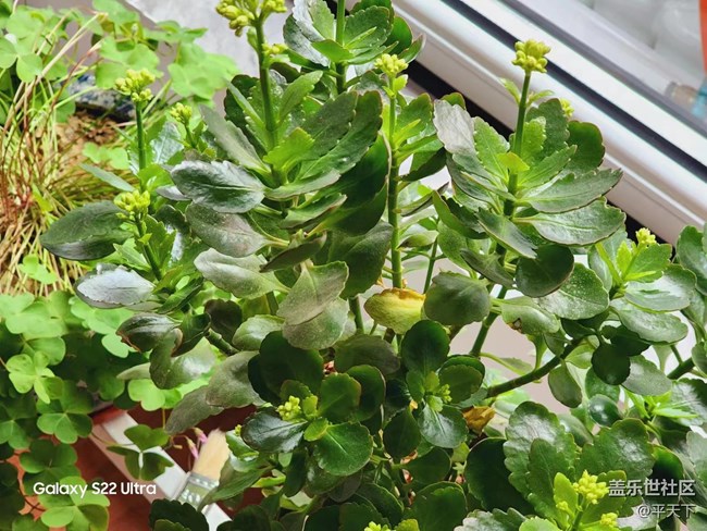 【采集青色時(shí)光】孕育生機(jī) 蓄意待發(fā)