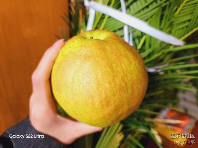 【采集青色時光】青色充滿勃勃生機