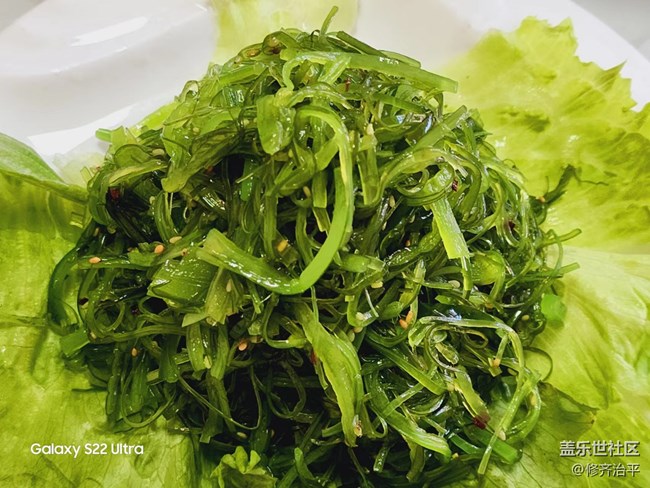 【采集青色時光】青色充滿勃勃生機