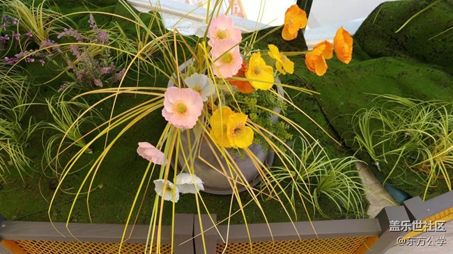 【采集青色時(shí)光】空中花園