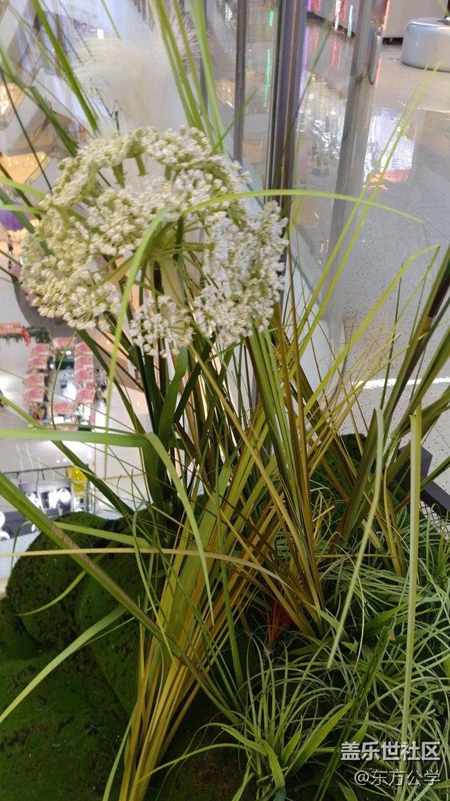 【采集青色時(shí)光】空中花園