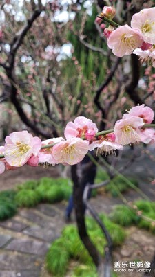 驚蟄