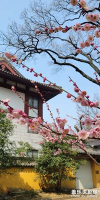 南京靈谷寺