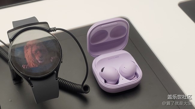 S23山城品鑒會(huì)-星粉的春節(jié)！