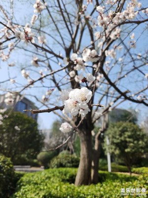 【光影記事】+ 午后陽光