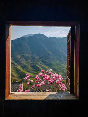 Galaxy S23 Ultra春來(lái)