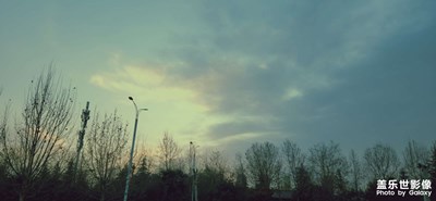 簽到