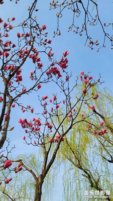 春色