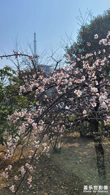來著辦個業(yè)務(wù)