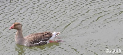日常隨拍