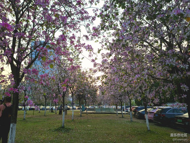 【萬物復(fù)蘇】花季