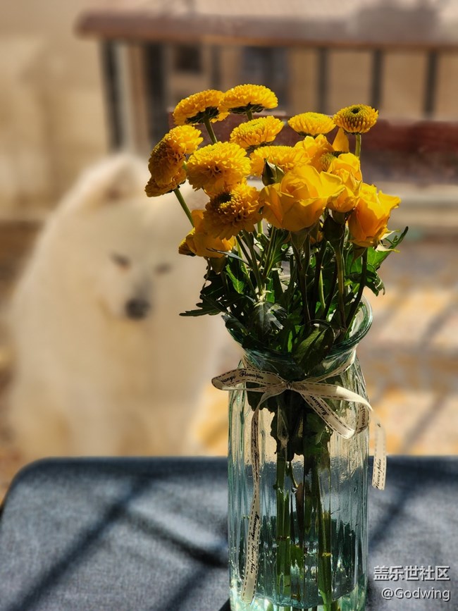 【光的藝術(shù)】+光和生活的瞬間