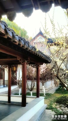 公園隨拍
