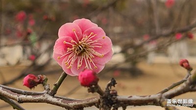 擁抱春天