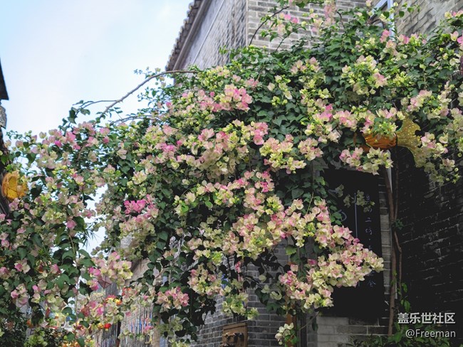 【萬物復(fù)蘇】阿羅拉地區(qū)限定色