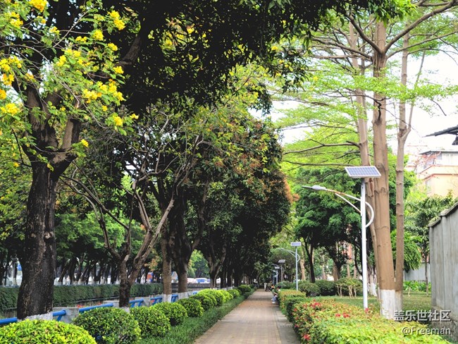 【初春之刻】植新綠 | 寓希望