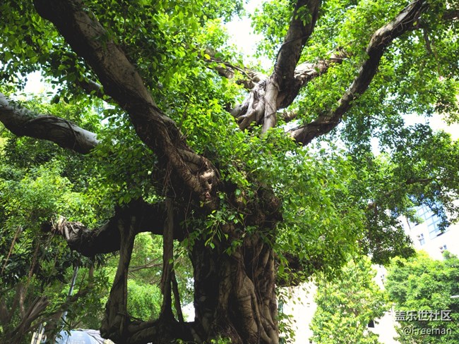 【初春之刻】植新綠 | 寓希望