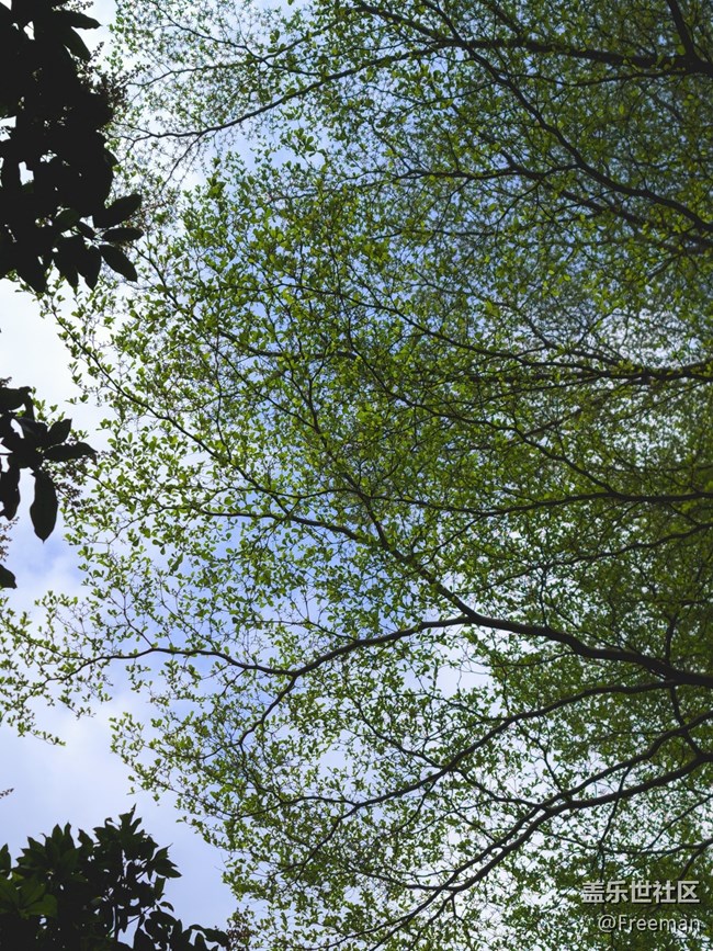 【初春之刻】植新綠 | 寓希望