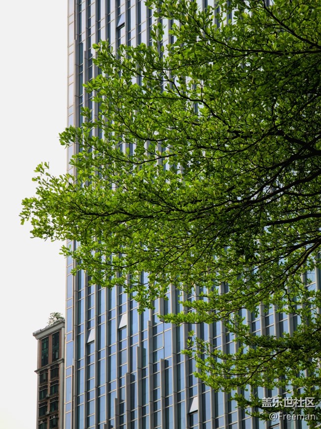 【初春之刻】植新綠 | 寓希望