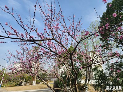 隨手隨意