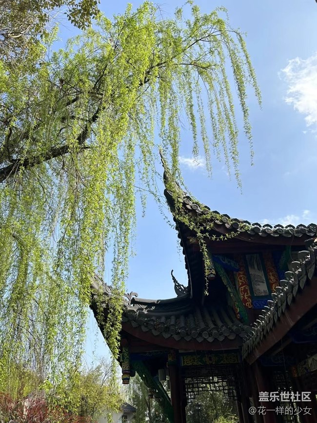 【萬物復(fù)蘇】綠葉與鮮花