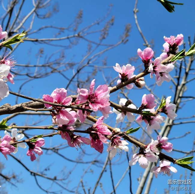 【萬物復(fù)蘇】春日入懷