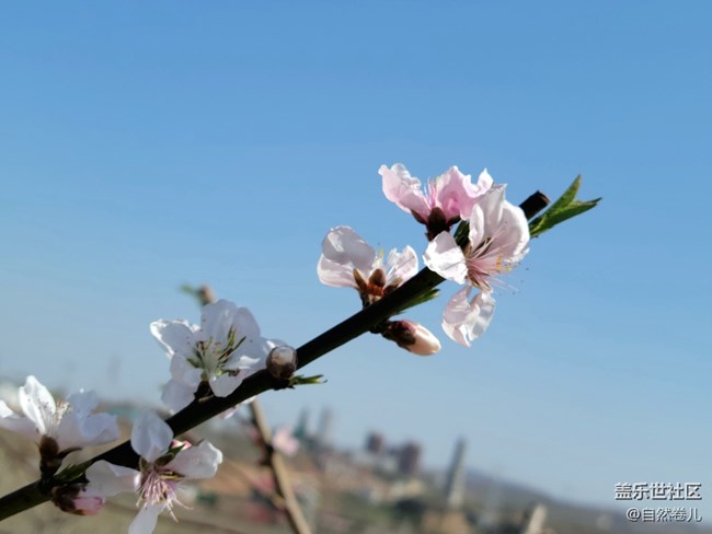 【萬物復(fù)蘇】春日入懷