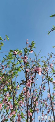出來逛逛。。