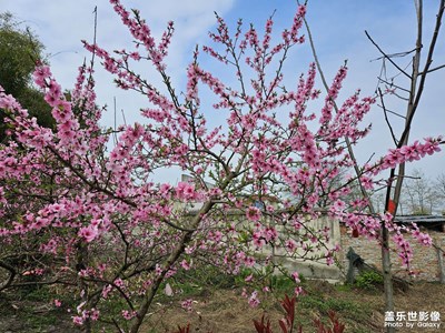 鄉(xiāng)村春日