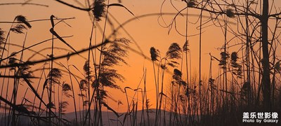 醉美夕陽