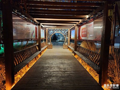 【美麗夜景】公園夜拍(二)