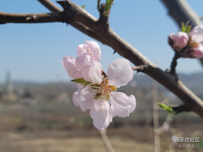 【萬物復(fù)蘇】春日入懷