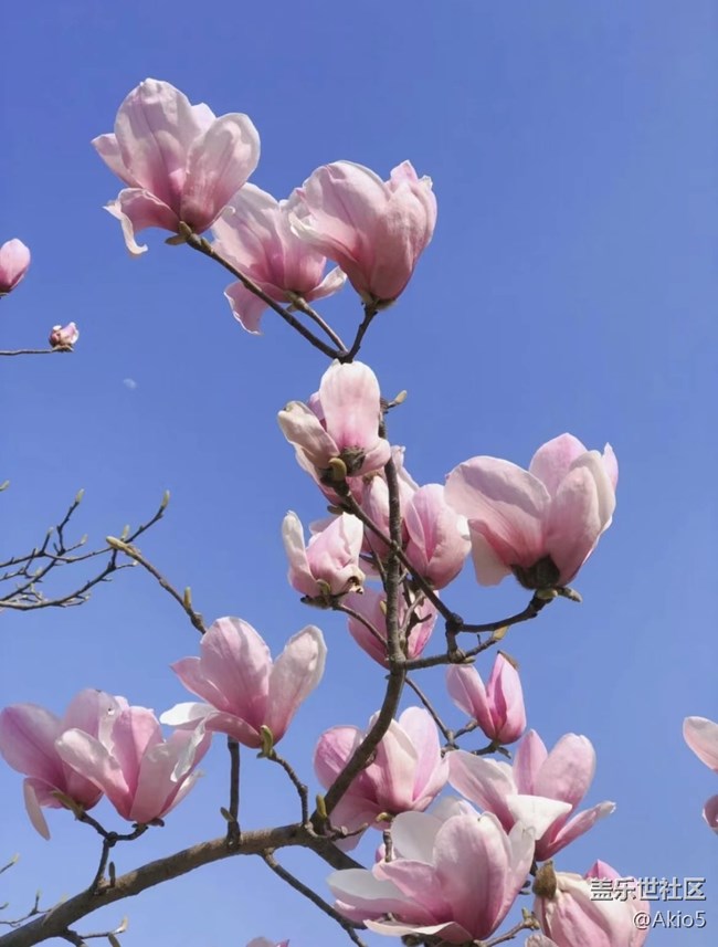 【踏春】最是一年春好處