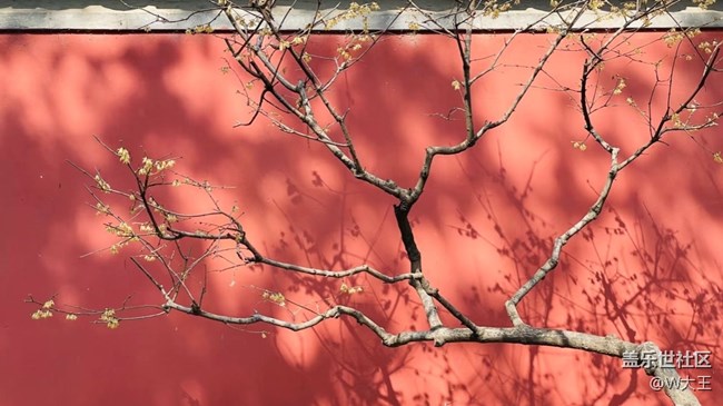 【閃亮的日子】+萬物復(fù)蘇