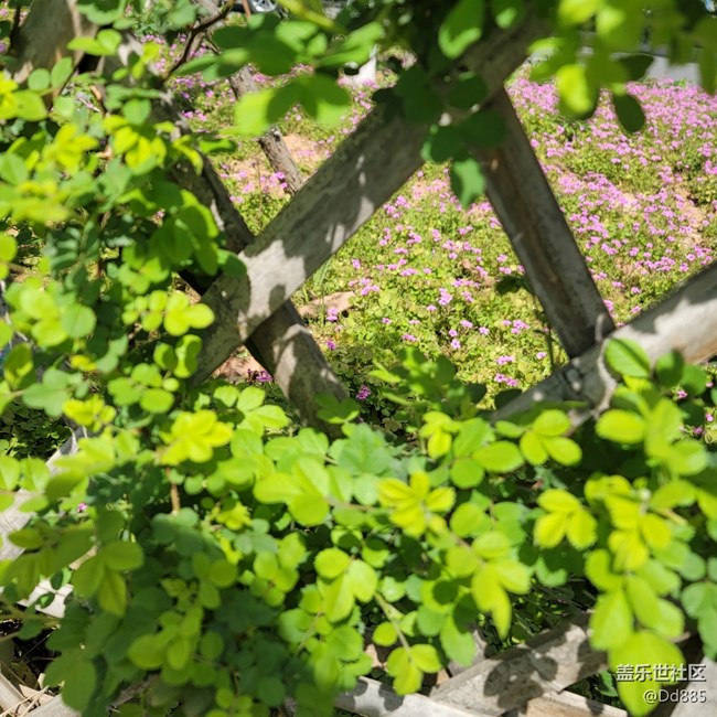 【踏春】可問春風(fēng)