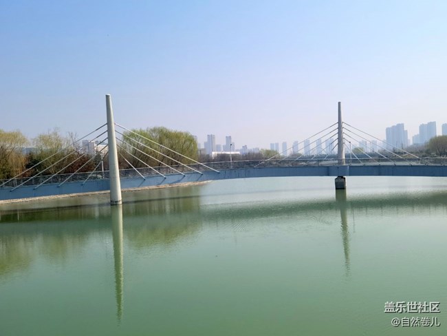 【萬物復(fù)蘇】碧水藍(lán)天小黃花