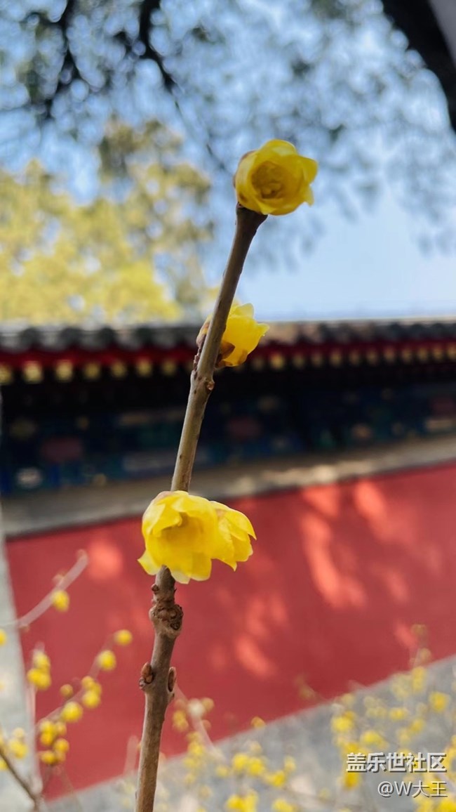 【閃亮的日子】+萬物復(fù)蘇