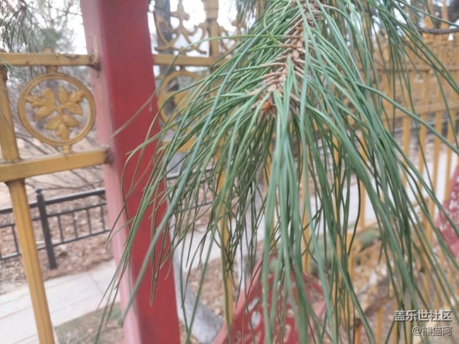 【萬物復(fù)蘇】宮廷后花園