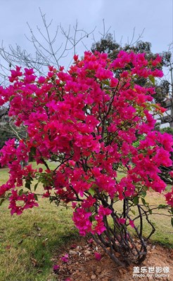 春暖花開