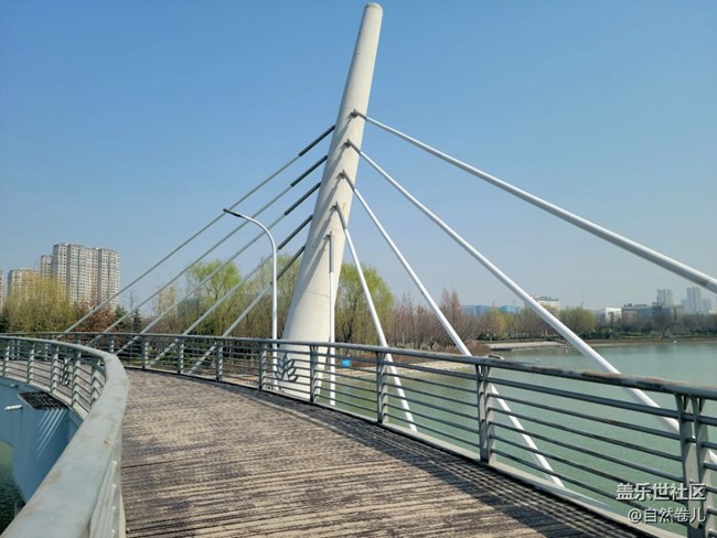 【萬物復(fù)蘇】碧水藍(lán)天小黃花