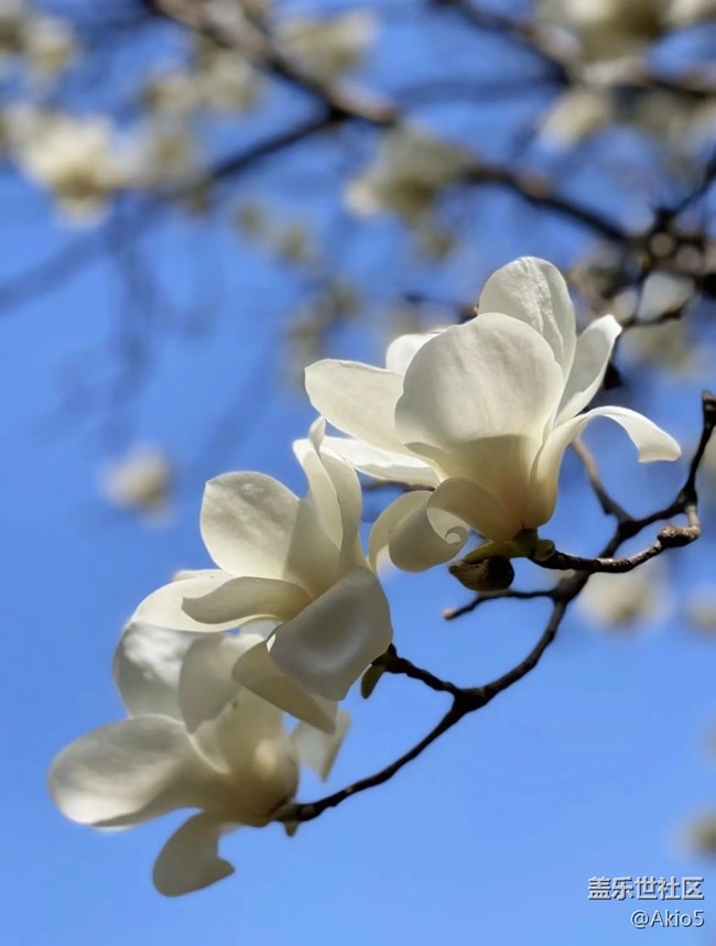 【踏春】最是一年春好處