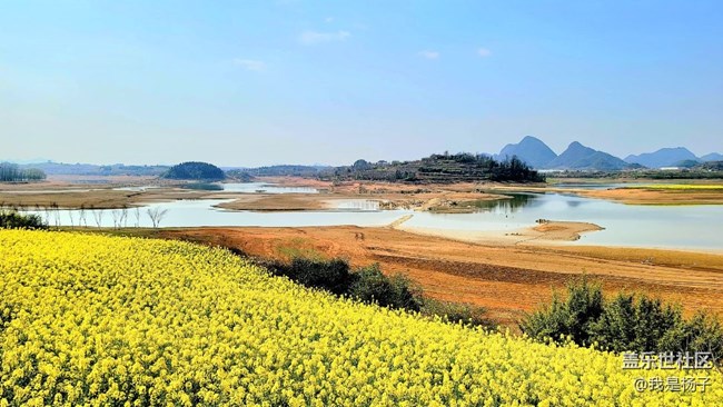 【初春时刻】春回大地