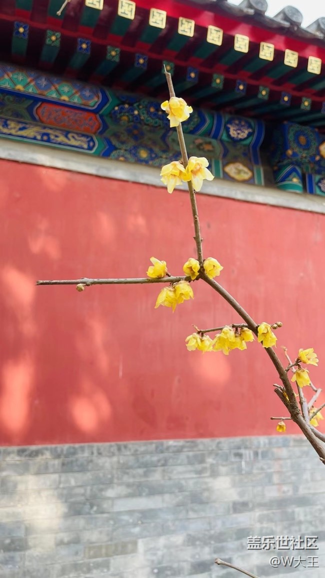 【閃亮的日子】+萬物復(fù)蘇